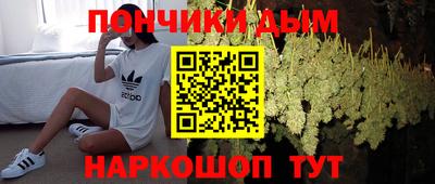 наркотики Кингисепп